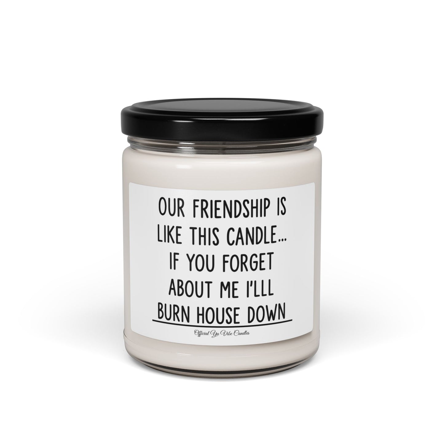 Funny Friendship Soy Candle - "Our Friendship Is Like This Candle... If You Forget About Me I'll Burn House Down" (9oz)