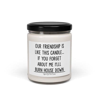 Funny Friendship Soy Candle - "Our Friendship Is Like This Candle... If You Forget About Me I'll Burn House Down" (9oz)