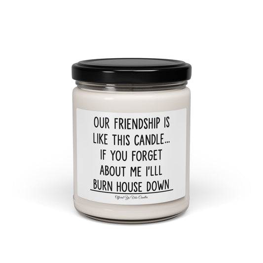 Funny Friendship Soy Candle - "Our Friendship Is Like This Candle... If You Forget About Me I'll Burn House Down" (9oz)