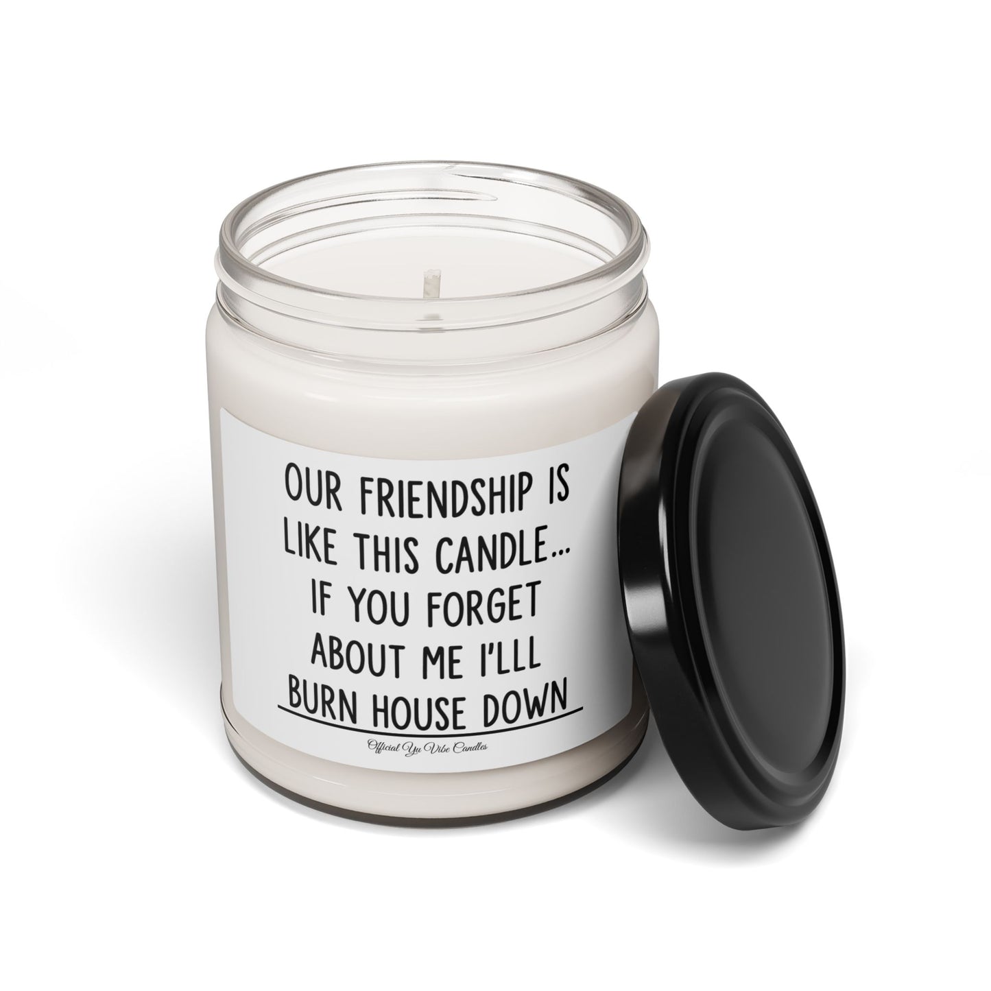 Funny Friendship Soy Candle - "Our Friendship Is Like This Candle... If You Forget About Me I'll Burn House Down" (9oz)