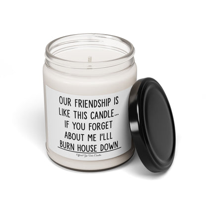 Funny Friendship Soy Candle - "Our Friendship Is Like This Candle... If You Forget About Me I'll Burn House Down" (9oz)